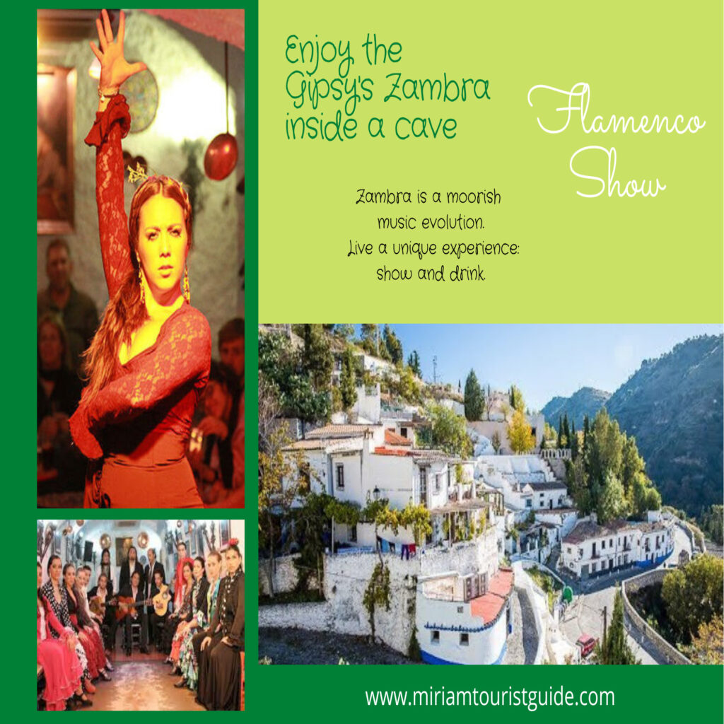Flamenco Show in Granada Cave