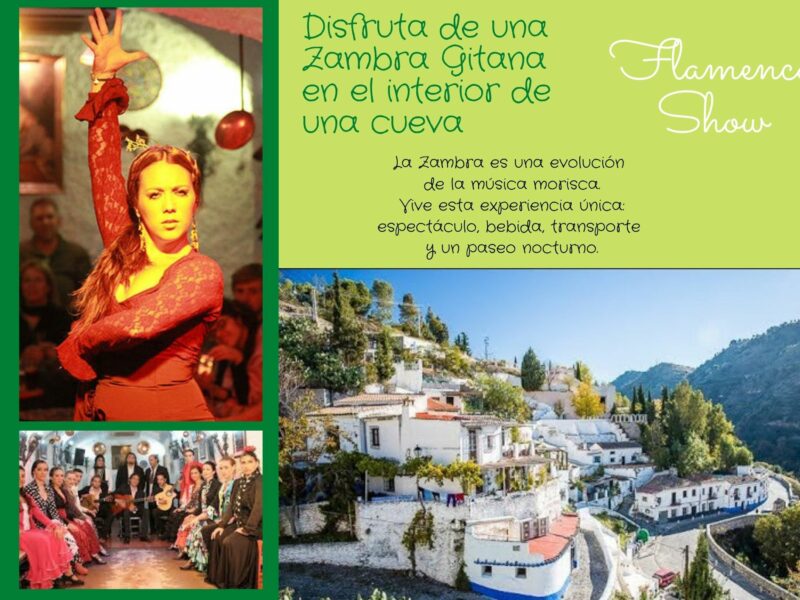Flamenco Show en las cuevas de Sacromonte