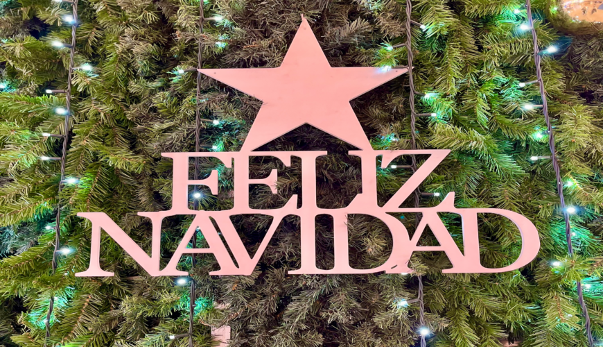 What to do at Christmas in Granada