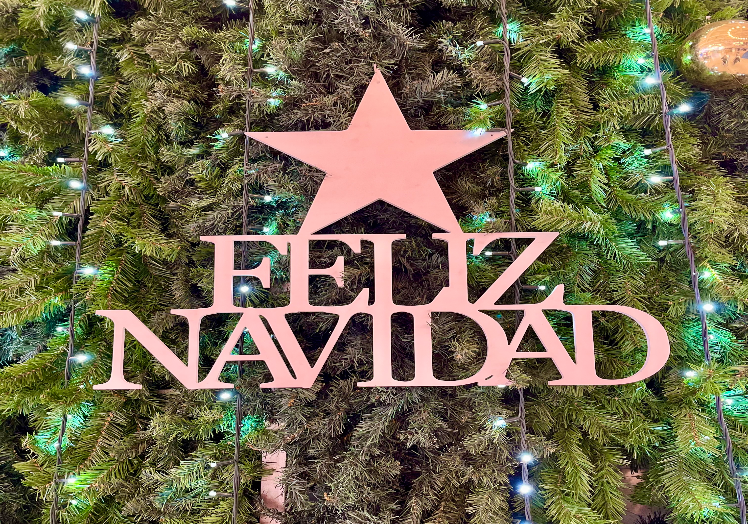What to do at Christmas in Granada